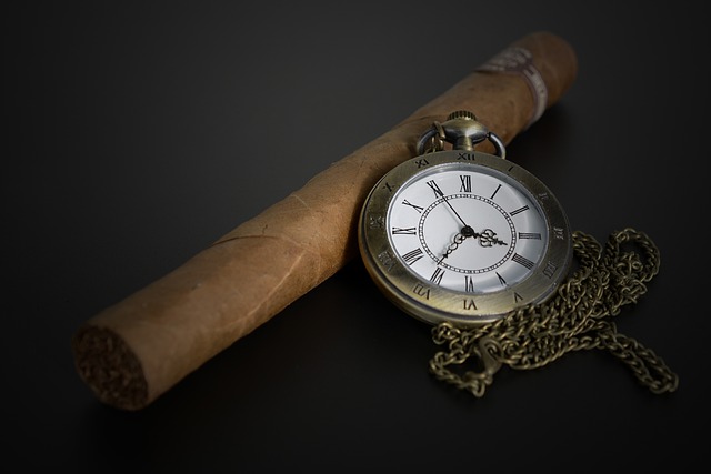 montecristo 11