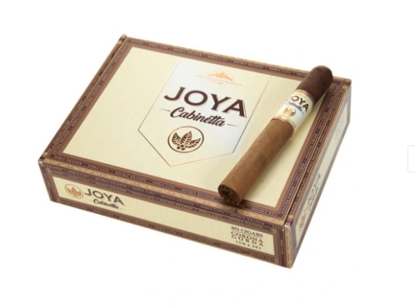 joya de nicaragua