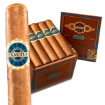 Exactus Connecticut Robusto
