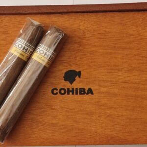 cohiba robustos