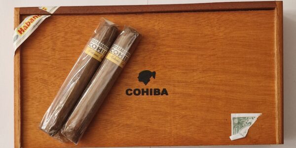 cohiba robustos